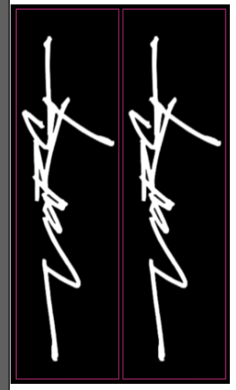 Varg Decals
